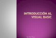 Introducción al visual basic