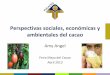 Perspectivas sociales, económicas y ambientales del cacao