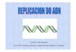 12 replicacion adn