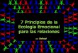 7 princip