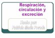 Respiración circulación y excreción Patricia Marín Poveda
