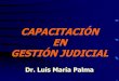 Judicial Management Training / Capacitación en Gestión Judicial