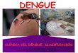 Clínica del dengue   ultimo - 2014