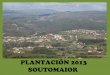 Plantación 2013