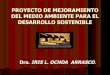 Contaminacion ambiental Iris Ochoa A