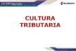 La Cultura Tributaria