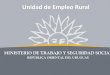 Eduardo Pereyra. "Uruguay: Política de Empleo y Seguridad Social para Trabajadores Rurales"