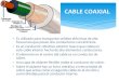 Cable coaxial belem