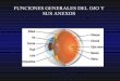 Fisiologia general del ojo