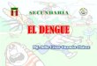 El dengue 1