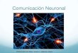 Comunicación neuronal