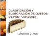 Clasificación y elaboración de quesos de pasta madura