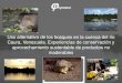 Phynatura: Uso alternativo de los bosques en la cuenca del rio Caura, Venezuela