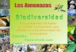 Amenazas a-la-biodiversidad-1-1222834242732248-9