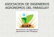 Paraguay presentacion aiap