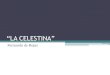 "La Celestina"
