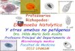 1.3 enteroparasitismo por protozoarios rizópodos entamoeba histolytica