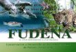 Gestión de FUDENA en el co-manejo de dos áreas naturales protegidas de la costa oriental del Estado Falcón (2011)