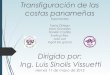 Ecología: Transfiguración de las Costas Panameñas