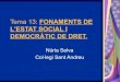 Tema 13: FONAMENTS DE L'ESTAT SOCIAL I DEMOCRÀTIC DE DRET