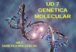 Genetica molecular 1º parte (adn, replicación, transcripción y traducción)