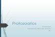 Protozoarios y mastigoforos (generalidades)-Trichomonas