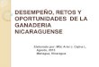 Desempeño, retos y oportunidades de la ganaderia nicaraguense (ESP)