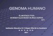 Genoma human ob