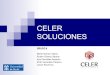 Trabajo Celer Soluciones (Marketing 08-09 UAH)