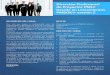 Curso Online New Horizons Perú- Dirección Profesional de Proyecto PMI® Basada en Lineamientos PMBOK® versión 5