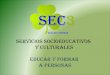Sec3 servicios socioeducativos y culturales