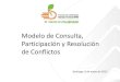 Modelo de consulta participación y resolución de conflictos 05052011