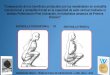 Sentadilla Frontal vs Sentadilla Convencional - P.A.P - Capacidad de salto vertical
