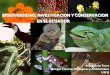 Biodiversidad, Investigacion Y Conservacion