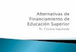 Alternativas De Financiamiento Educacion Superior
