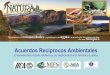 Acuerdos Recíprocos Ambientales Experiencias desde Bolivia y su replicación en América Latina