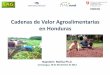 Cadenas de valor agroalimentarias en Honduras CURC