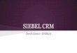 Siebel  - Estudi CRM's del mercat