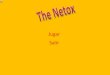 The netox beta v.1.0