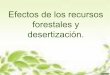 Deforestacion y desertizacion 1