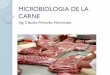 Microbiologia de la carne