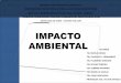 Urbanismo impacto ambiental (1)