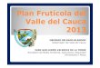 Plan frutícola del Valle del Cauca 2013