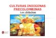 Cultura indígena precolombina