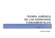 Derecho Constitucional I Chile: Teoría jurídica de los Derechos Fundamentales