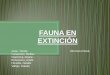 Fauna en extinción
