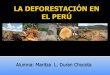 La deforestación en el perú