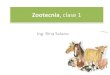 Zootecnia, clase 1