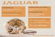 Infografía del Jaguar