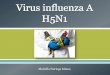 Virus influenza A H5N1